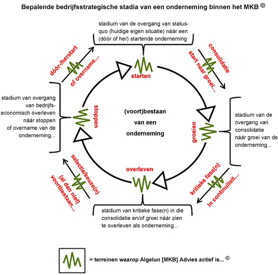 Schema Algelun [MKB] Advies: (voort)bestaan van een onderneming